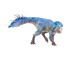 protoceratops, dinosaurio sobre fondo aislado png