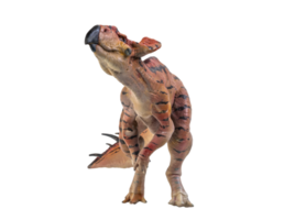 Protoceratops  , dinosaur on  isolated background png
