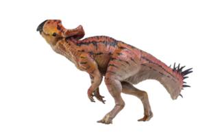 Protoceratops  , dinosaur on  isolated background png