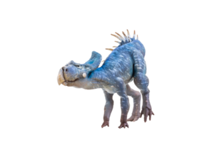 Protoceratops  , dinosaur on  isolated background png