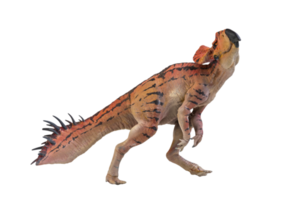 protoceratops, dinosaurio sobre fondo aislado png