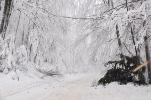 Winter snowy road in mountainous region after heavy snowfall in Romania photo