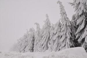 paisaje de bosque de montaña en un día de invierno brumoso foto