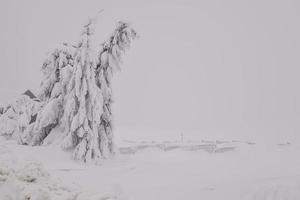 Winter snowy road in mountainous region after heavy snowfall in Romania photo