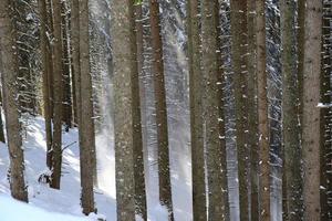 Winter landscape in Austrian Alps photo