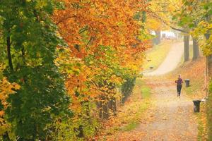 Woman jogging on the street in Autumn season. view from the back photo