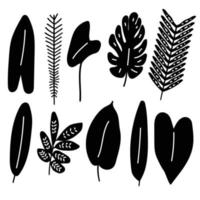 abstract leaves icons set on white background. Vector flat graphic cartoon illustration design