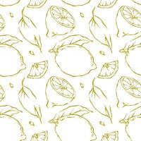 Hand drawn outline lemon seamless pattern on white background vector