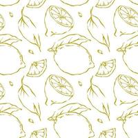 Hand drawn outline lemon seamless pattern on white background vector