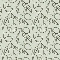 Olive branch seamless patten. Line doodle drawing of olives with leaves on light green background, pattern design for olive oil, natural cosmetics, wrapping, kitchen textile and fabric. vector