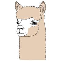 cabeza de animal camélido llamado alpaca vector