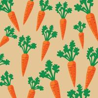 root vegetable carrots orange colo vector