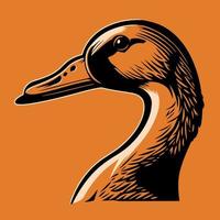 Waterfowl duck animal head vector