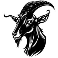 animal head domestic goat vector