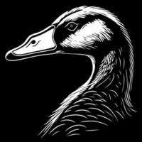 animal head goose a waterfowl bird vector