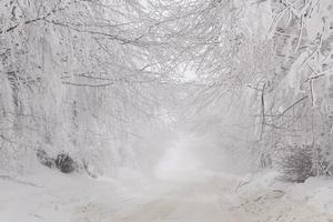 Winter snowy road in mountainous region after heavy snowfall in Romania photo