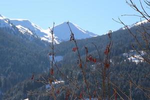 Winter landscape in Austrian Alps photo