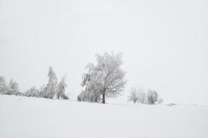 Winter snowy road in mountainous region after heavy snowfall in Romania photo