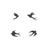 Swallow logo icon design vector image