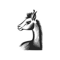 Give an elegant and classy look to your brand with a black and white llama logo vector
