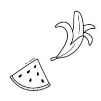 Line piece of watermelon and peeled banana. Vector outline doodle illustration of fruits isolated