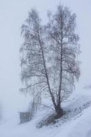 paisaje invernal en los alpes austríacos foto