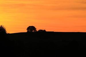 sunset landscape with tree silhouette photo