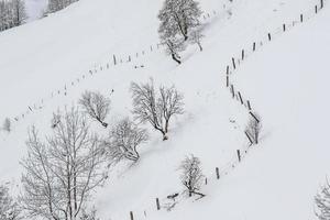 Winter landscape in Austrian Alps photo