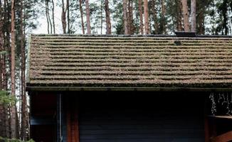 pine leaves on a roof. photo