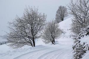Winter landscape in Austrian Alps photo