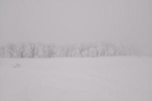 Winter snowy road in mountainous region after heavy snowfall in Romania photo