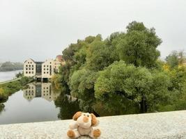 paisaje otoñal cerca del río danubio, ciudad de regensburg, europa foto