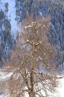 paisaje invernal en los alpes austríacos foto