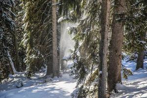 Winter landscape in Austrian Alps photo