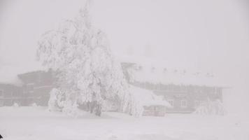 Winter snowy road in mountainous region after heavy snowfall in Romania photo