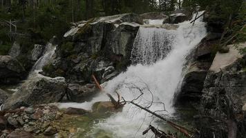 vista panorâmica da cachoeira na floresta. Eslováquia video