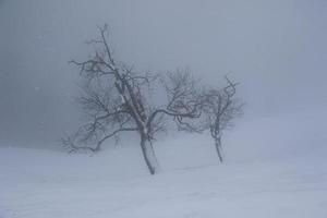 winter landscape in Austrian Alps photo