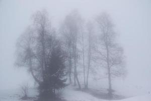 winter landscape in Austrian Alps photo