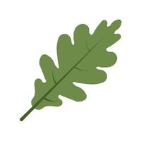 Oak leaf in isolated on white background vector art illustration