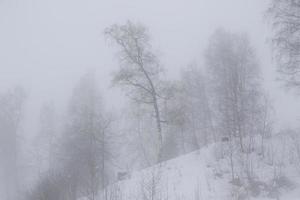 winter landscape in Austrian Alps photo