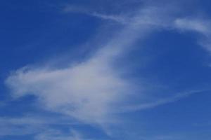 Clear blue sky and white clouds photo