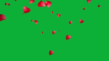 Beautiful hearts falling animation in green screen video