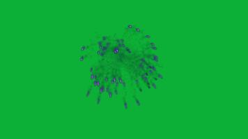 lila feuerwerksanimation auf grünem bildschirm video