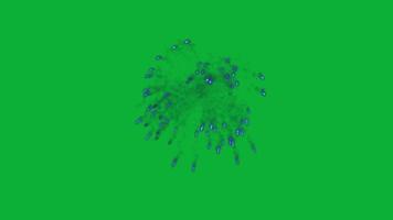 blaue Feuerwerksanimation auf grünem Bildschirm video