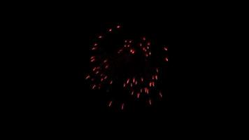 Red fireworks animation in transparent background video