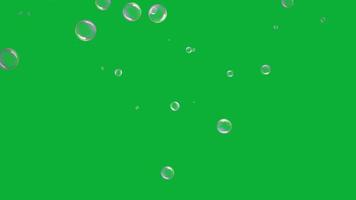 animação de bolhas coloridas em tela verde video