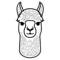 cabeza de animal camélido llamado alpaca vector