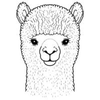 cabeza de animal camélido llamado alpaca vector