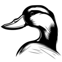 Waterfowl duck animal head vector