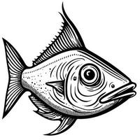 fish aquatic animal vector